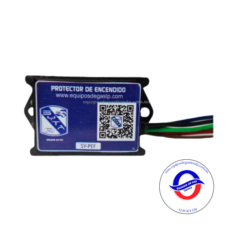 Protector de Encendido Ford Clase 1