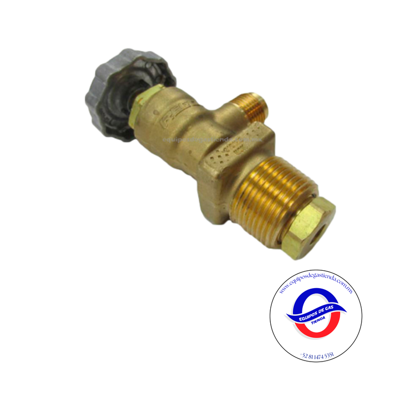 Válvula de servicio para tanque automotriz